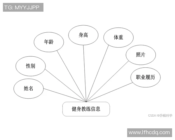 南京飞盘队的战术解析与控制技巧深度探讨