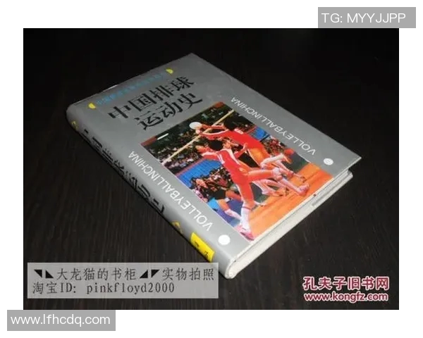 武汉排球队个人能力分析与发展潜力探讨