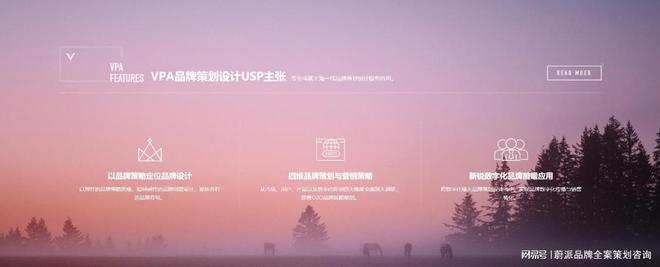 BD半岛网址品牌全案筹谋：揭秘企业制胜市场的奥秘兵器(图2)