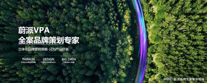 BD半岛网址揭秘！选择品牌全案筹谋公司的躲藏要点