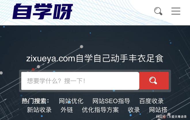 BD半岛网址企业建站让流量真正落地！自学呀建站专注SEO排名网站建立