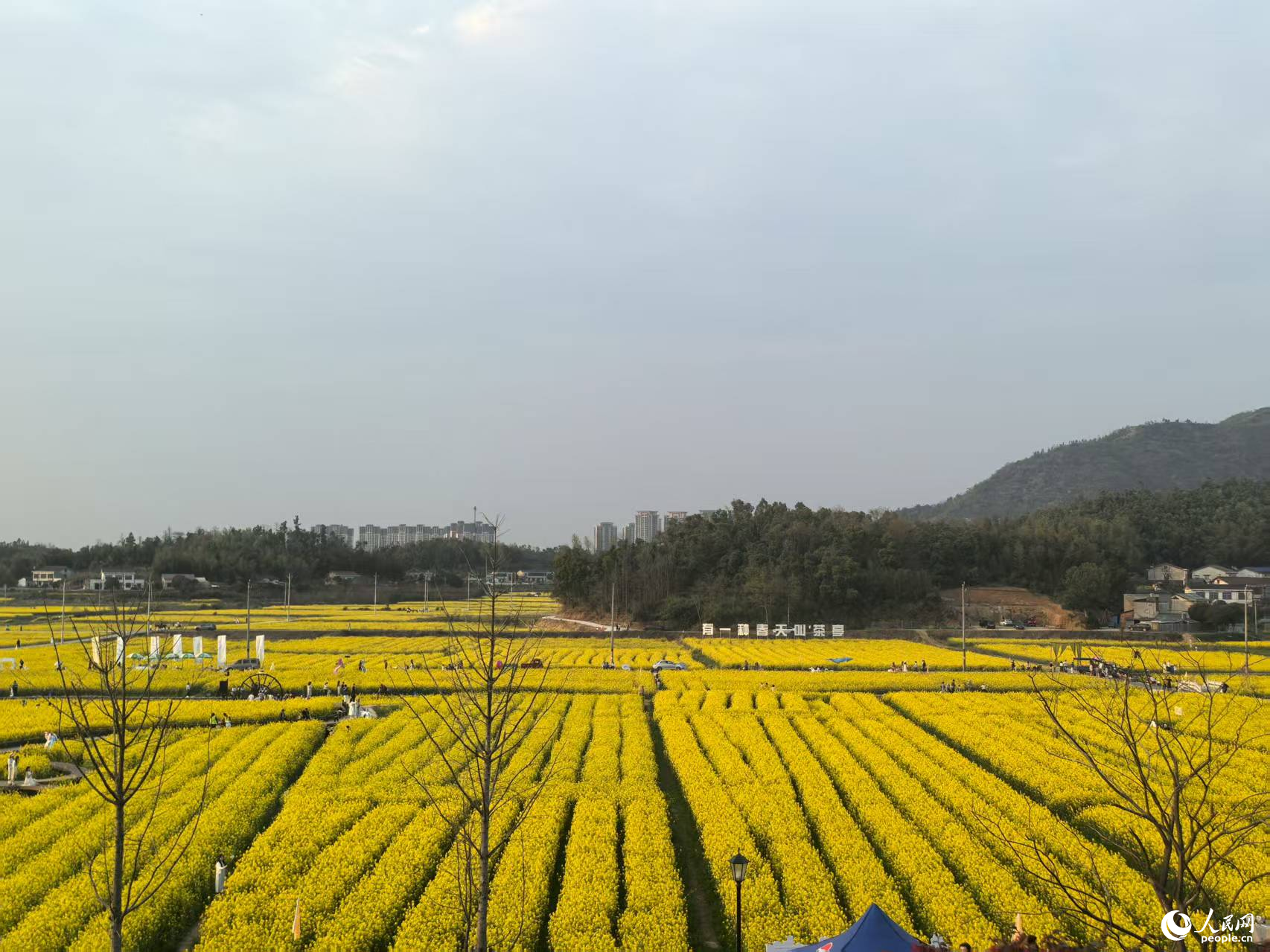 BD半岛APP村落复兴看“湘”村
